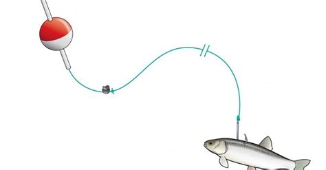 The 8 Best Live Bait Rigs For Crappie Fishing Crappie Rigs Crappie