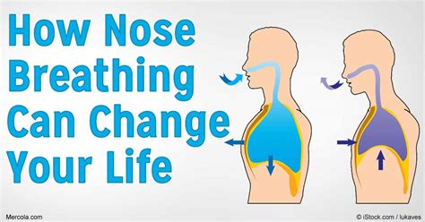 Why Is Nose Breathing Important For Optimal Health And Fitness