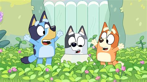 Bluey Series 2 Muffin Cone Abc Iview