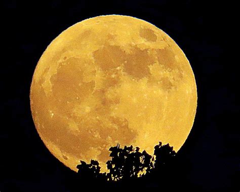 Full Moon Rising 6 Photograph By Tom Strutz Fine Art America