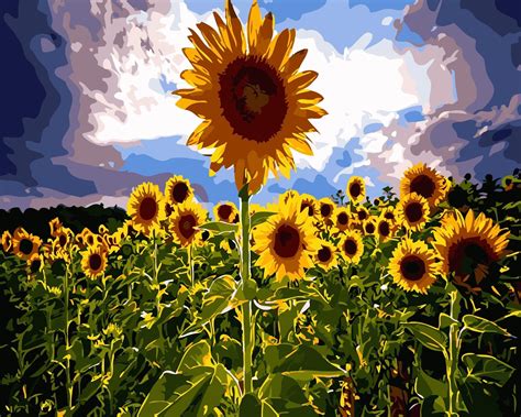 Sunflowers Field Paint By Numbers Numeral Paint Kit