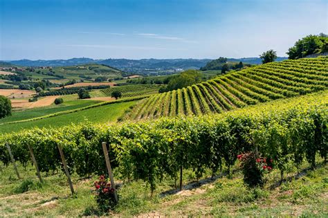 Vineyards And Royal Residences Of Piedmont The Innovative Travel Company