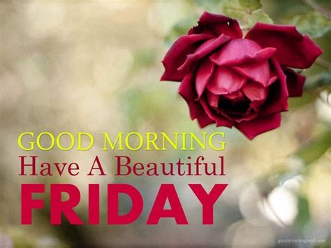 Good Morning Have A Beautiful Friday Good Friday Images Good Morning Friday Images Good