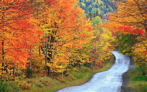 Experience The Fall Colors Of Maine Trekbible