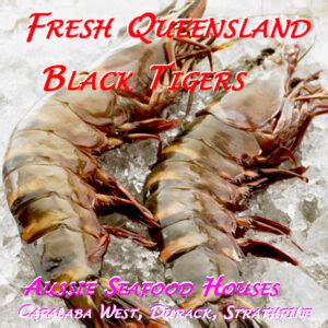 Aussie Black Tigers Raw Capalaba Aussie Seafood House