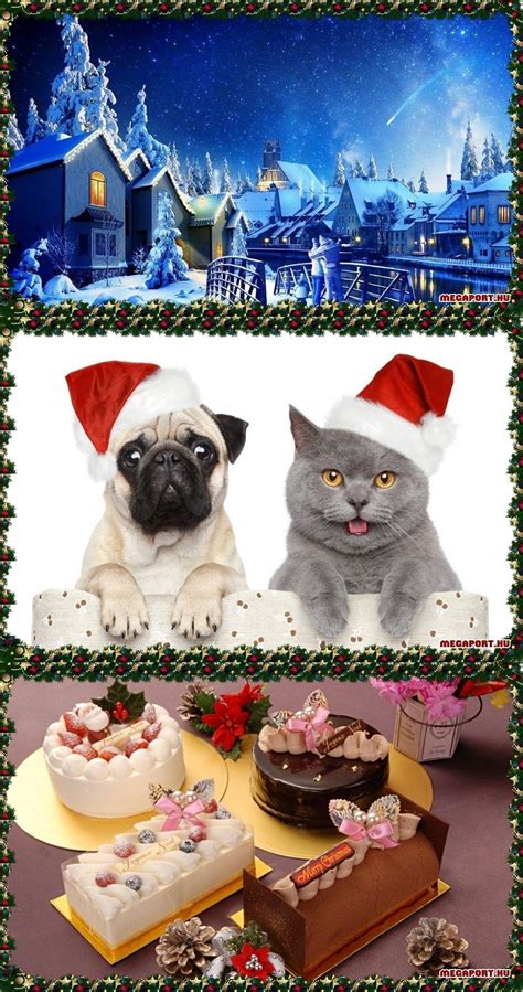 Beautiful Christmas Pictures And Ecards Christmas Memory Christmas 2014