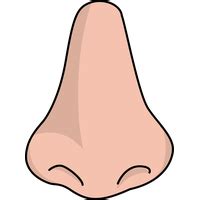 Download Nose Clipart HQ PNG Image | FreePNGImg