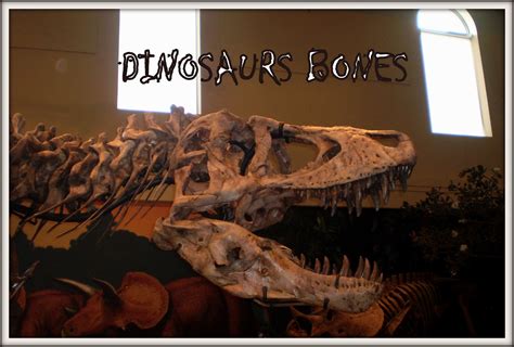 Dinosaur bone is a quest item needed for roll the bones. Creative and Curious Kids!: Discovering Dinosaur Bones