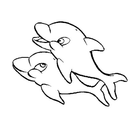dolphins coloring page coloringcrewcom
