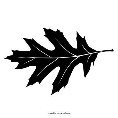 Printable Leaf Stencil Outline And Silhouette Camo Stencil Leaf