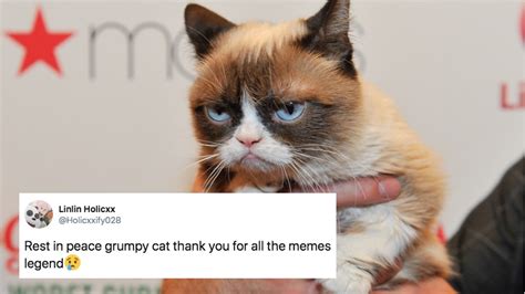 Here Are The 14 Best Grumpy Cat Memes To Honor The Most Legendary