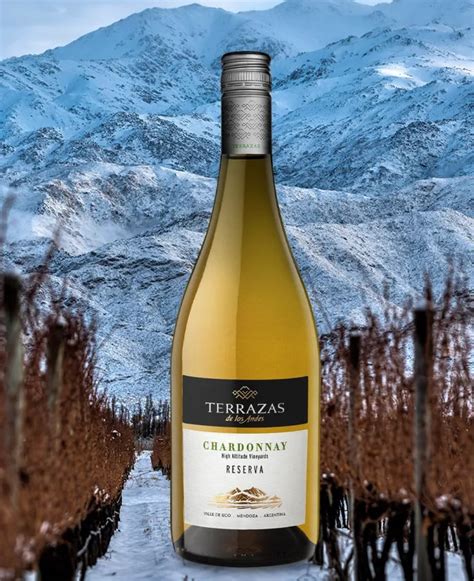 Reserva Chardonnay 2021 Mendoza Wine Terrazas De Los Andes