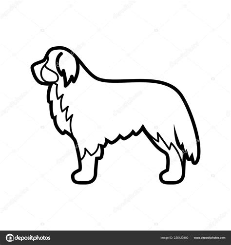 Bernese Mountain Dog Drawing Outline