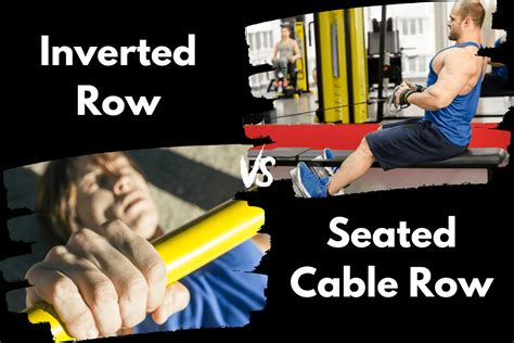 Inverted Rows Vs Seated Cable Row Which Is Better Horton Barbell