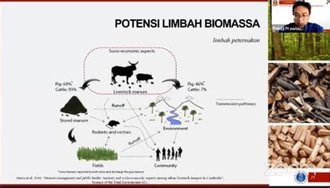 Pemanfaatan Biomassa Sebagai Sumber Energi Di Masa Depan Okezone Edukasi