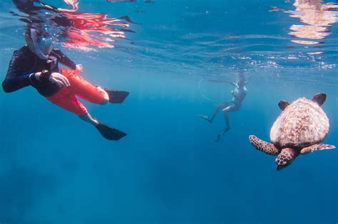 Maldives Underwater Initiatives Junior Marine Biologist Program