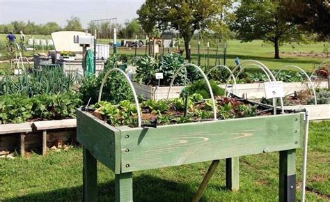 Williamson County Master Gardeners Texas Aandm Agrilife Extension Service