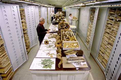 Inside The Secret Collections Backstage At The Us Museum Of Natural History