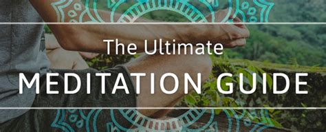 The Ultimate Meditation Guide Infographic Ecogreenlove