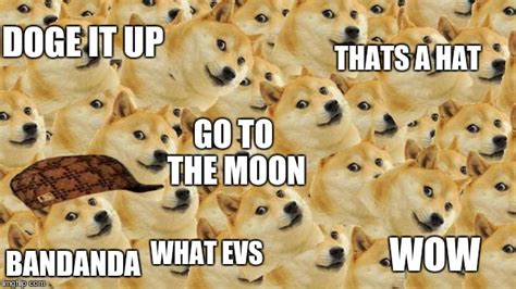 Too Much Doge Imgflip