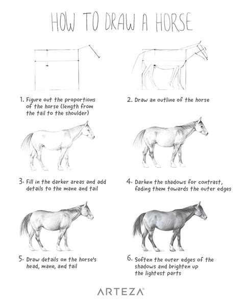 How To Draw A Horse Step By Step
