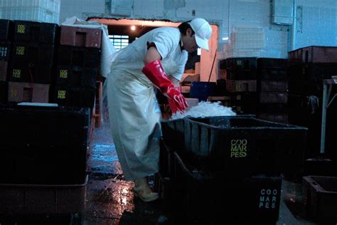 Se Agudiza La Crisis En Mar Del Plata Y Ochenta Obreros Quedarán En La