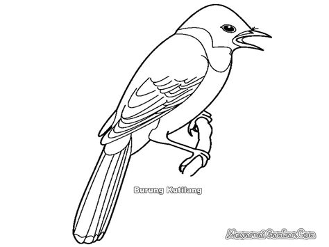 Gambar Mewarnai Terbaru Murid 17 Gambar Burung Reog Animasi Di Rebanas
