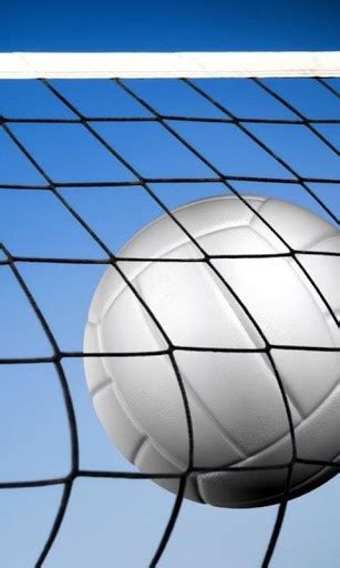 49 Free Volleyball Wallpapers And Backgrounds On