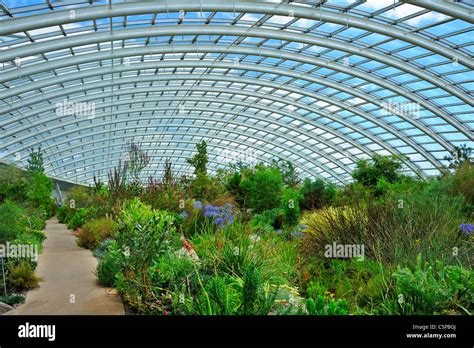 National Botanical Garden Fresh Interior Concept
