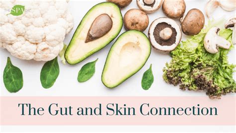 The Gut And Skin Connection The Spa Dr®
