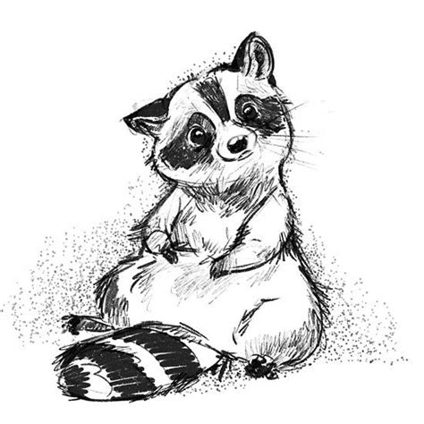 Thoughtful Raccoon Raccoon Illustration Animal Drawings Cute Drawings