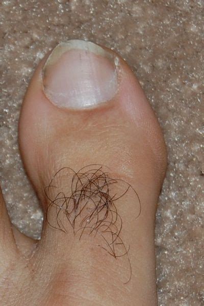 Hairy Toes Stinky Feet Pet Peeves Male Feet