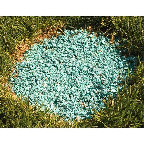 Depending on the type of grass you. Patch Perfect™ Grass Seed - 164727, Yard & Garden at Sportsman's Guide
