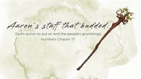 Aaron S Staff That Budded Numbers Chapter 17 April 05 2020 Worship