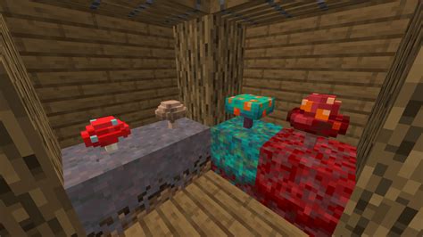 In Light Of The New Nether Mushrooms I Made 3d Models For All 4