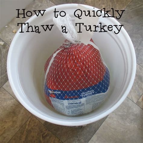 How To Quickly Thaw A Turkey Eat Like No One Else