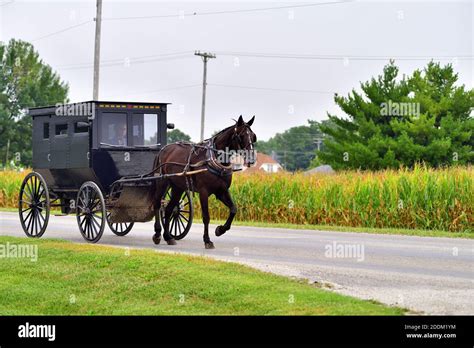 Arthur Illinois Usa An Amish Horse Drawn Carriage Makes Its Way Down