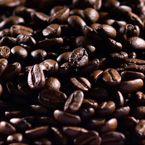 Roasted Coffee Beans 100 Robusta 10kg Aveon Cafe