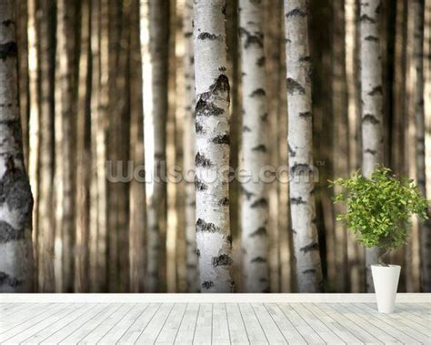 Birch Trees Mural Wallpaper Room Setting Tree Wallpaper For Walls Tree