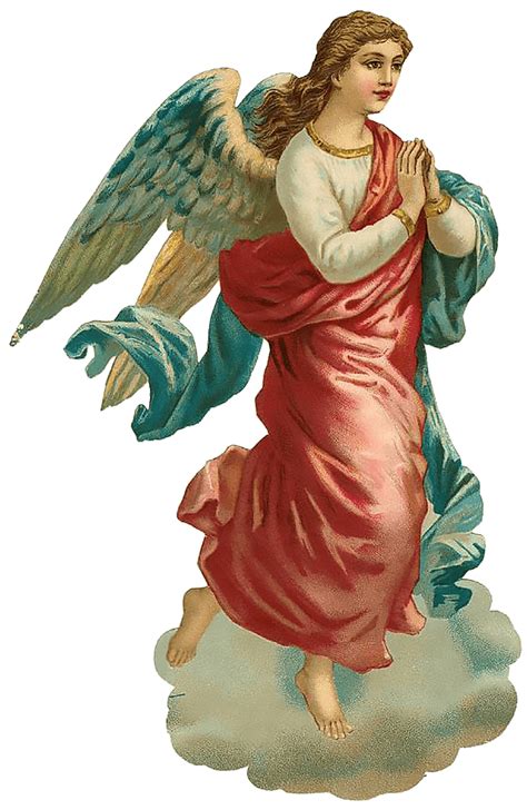 Angels Png Transparent Angelspng Images Pluspng
