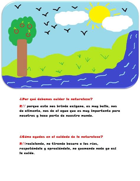 Por Qué Debemos Cuidar La Naturaleza 1