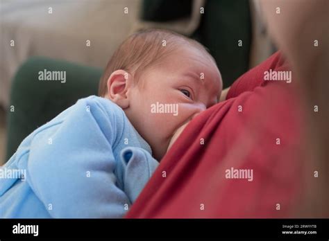 Mother Breastfeeding Newborn Baby Boy Stock Photo Alamy