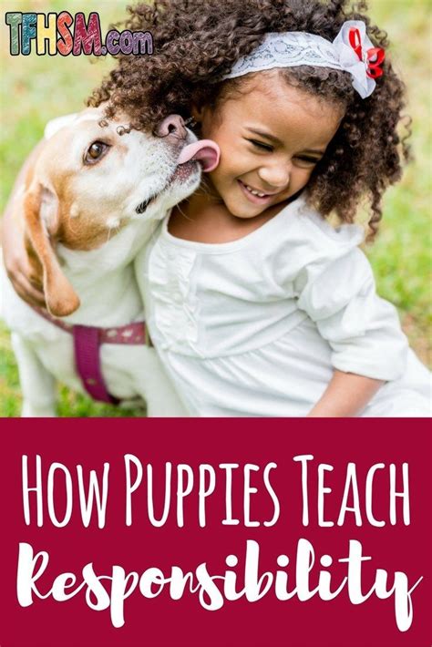 How Owning A Puppy Can Help Your Child Take On Responsibility