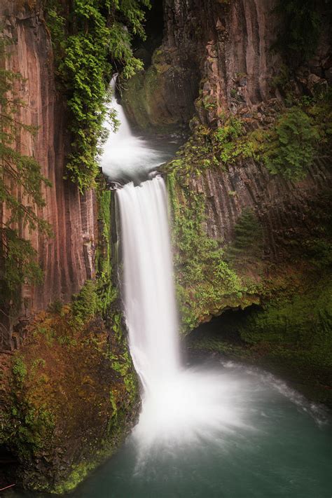 Usa Oregon Umpqua National Forest Photograph By Jaynes Gallery Fine