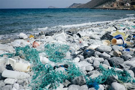 Biden Can Fight Plastic Pollution With These Actions