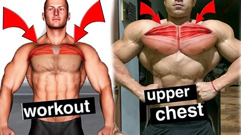 Best Upper Chest Exercises For Strength And Size Youtube