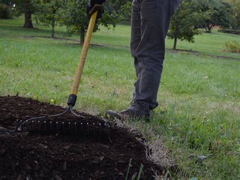 Make The Most Of Your Fall Garden Mulching By Following Some Key Tips