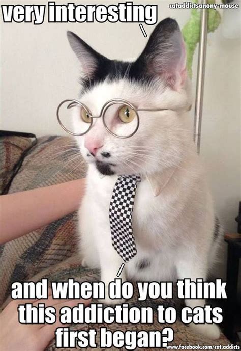 Funny Cats Photos Snapchats Doctor Cat Funny Cat Captions Funny Cat