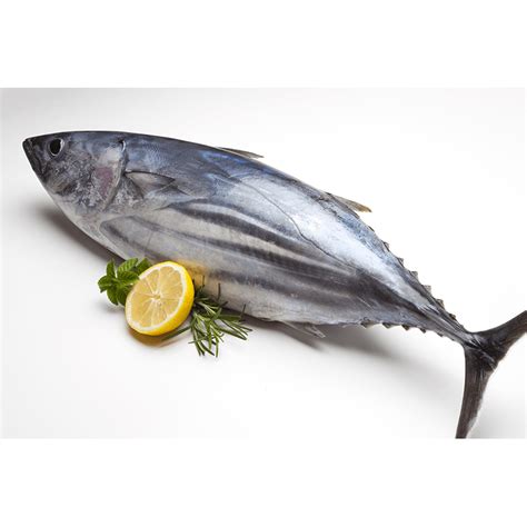 Buy Wild Caught Fresh Tuna Online Freshcatch