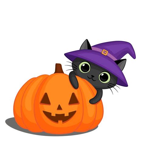 A Black Cat Sitting On Top Of A Pumpkin Wearing A Witches Hat And